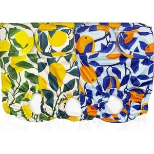 Pet Magasin Washable Botanical Dog Diaper Set Of 3 Large